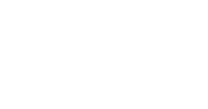 Lucky Seventeen Logo
